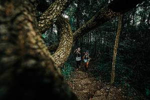 BIB: 
                            <button type="button" onclick="openModal(25694312)" class="btn btn-primary btn-sm float-right btn-popup" data-toggle="modal" data-target=".modal-high-quality">
                        <i class="fas fa-shopping-cart"></i> Add to Cart
                    </button>
                                            <button type="button" onclick="isThisMe(25694312, true)" class="btn btn-success btn-sm float-right btn-popup btn-isme hidden" data-toggle="tooltip" data-placement="bottom" title="นี่คือรูปของคุณใช่ไหม คลิกที่นี่เพื่อเอาเข้าอัลบั้ม">
                        <i class="fas fa-plus"></i> Add to album
                    </button>
                    <button type="button" onclick="isThisMe(25694312, false)" class="btn btn-warning btn-sm float-right btn-popup btn-isnotme hidden">
                        <i class="fas fa-ban"></i> Remove from album
                    </button>